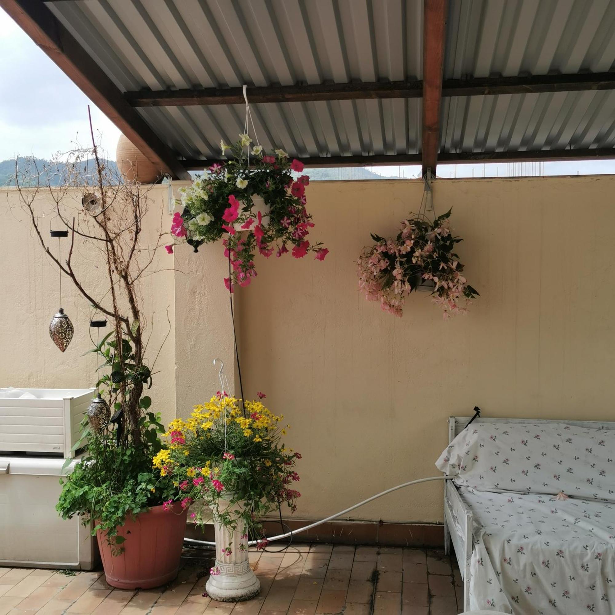 Albisola Bed And Breakfast Albisola Superiore Εξωτερικό φωτογραφία